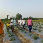 कटहरियामा सञ्चालित पोषण परियोजनाको संयुक्त अनुगमन