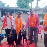 देवाही गोनाहीमा लघु उद्यम प्रवद्र्धन कार्यक्रमअन्तर्गत ३१ महिलालाई उन्नत जातका बाख्रा वितरण