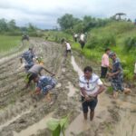 मनोज ठाकुरको नेतृत्वमा अतिक्रमित वन क्षेत्रमा पुनः हरियाली